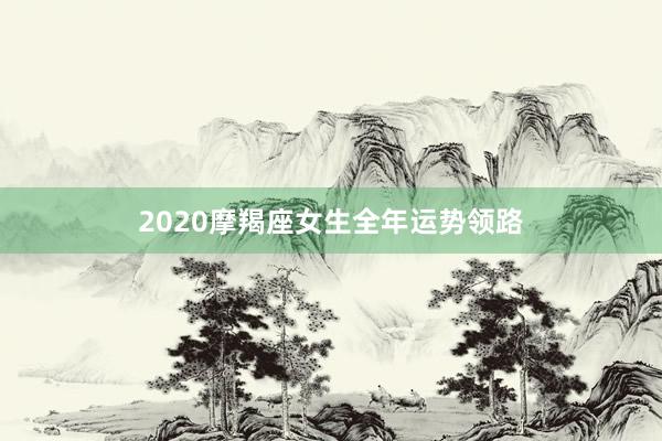 2020摩羯座女生全年运势领路